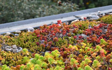 the cost of Calverton green roof installation