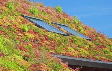 Calverton living roof systems